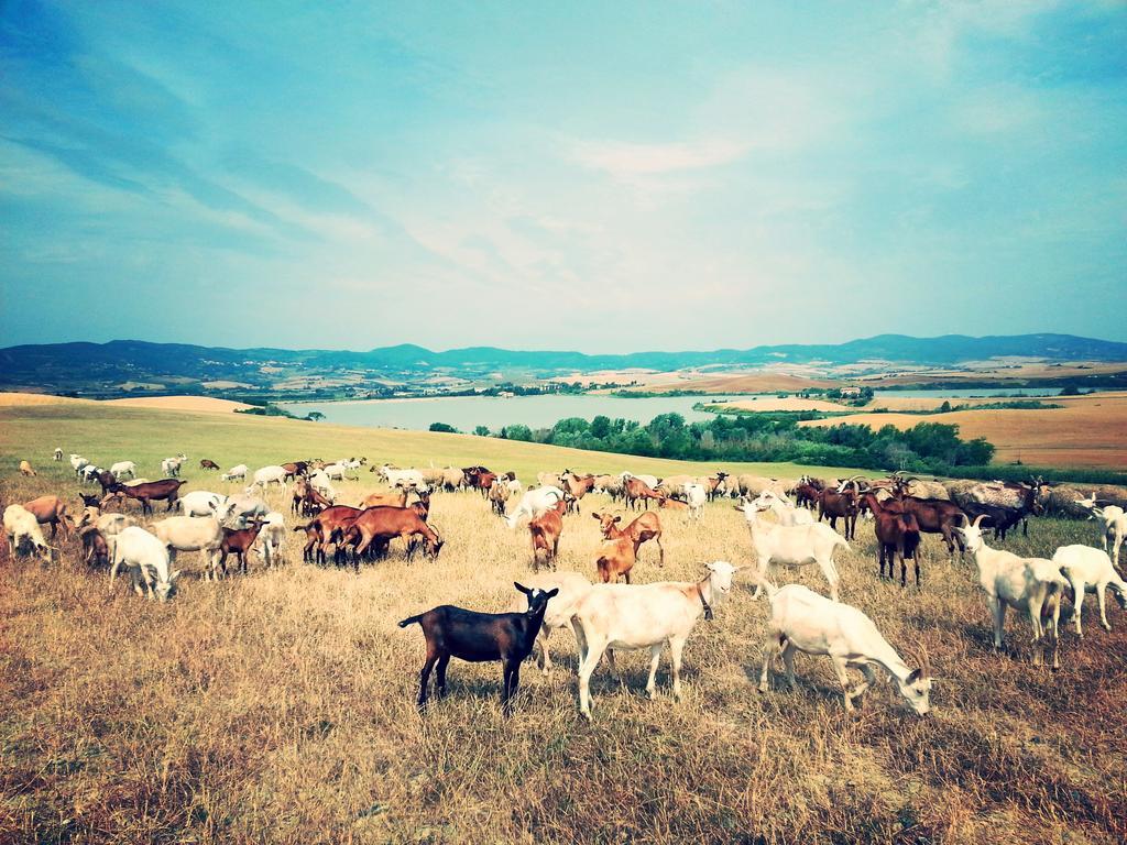 Agriturismo L'Impero Санта-Луче Екстер'єр фото